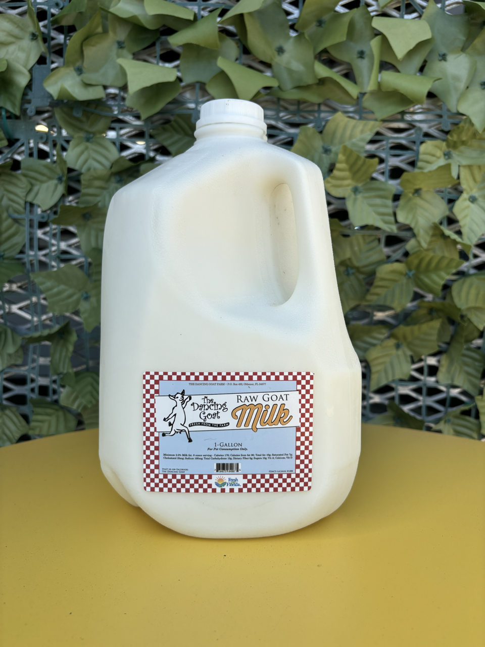 Raw Goat Milk Gallon (The Dancing Goat) image 1