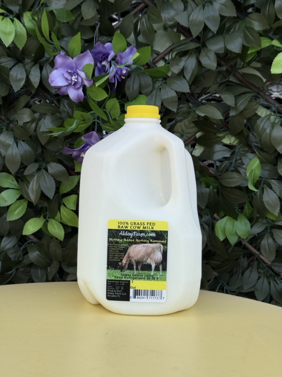 100% Grass Fed Raw Cow Milk Gallon (Alday Farm) image 1