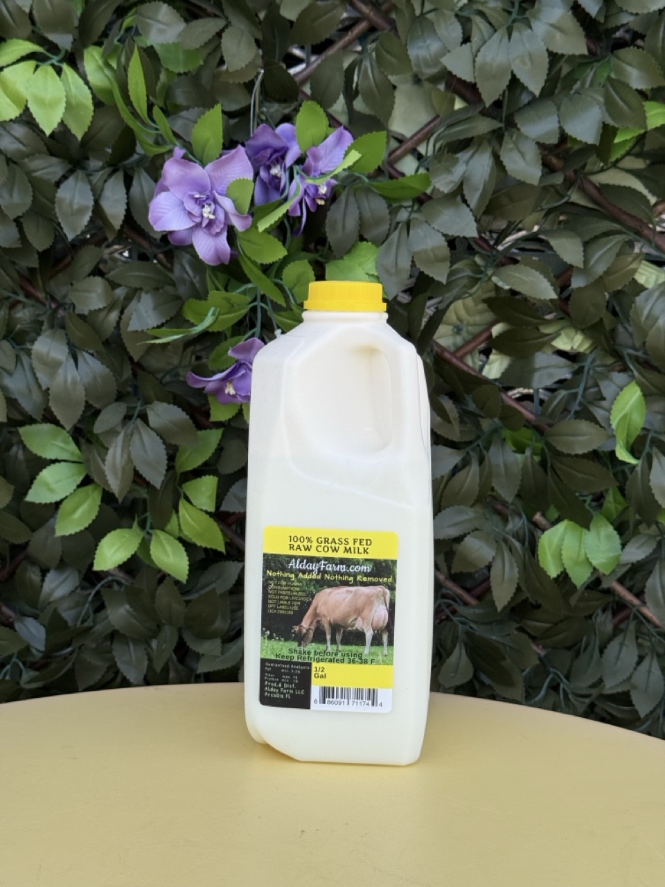 100% Grass Fed Raw Cow Milk Half Gallon (Alday Farm) image 1