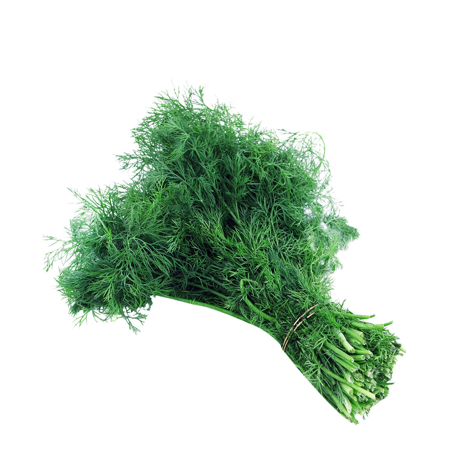 Κατηγορία Α άνηθος φρέσκος εικόνα 1