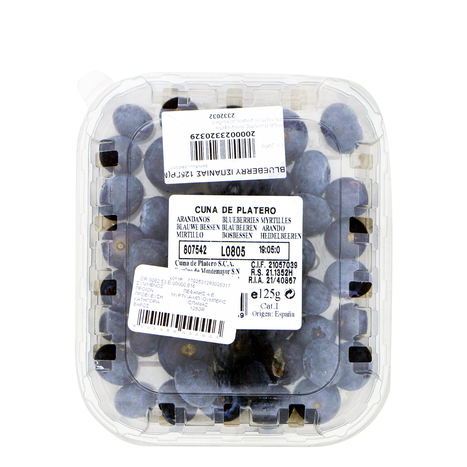 Blueberry (μύρτιλο) τυποποιημένο blueberry 125g εικόνα 1
