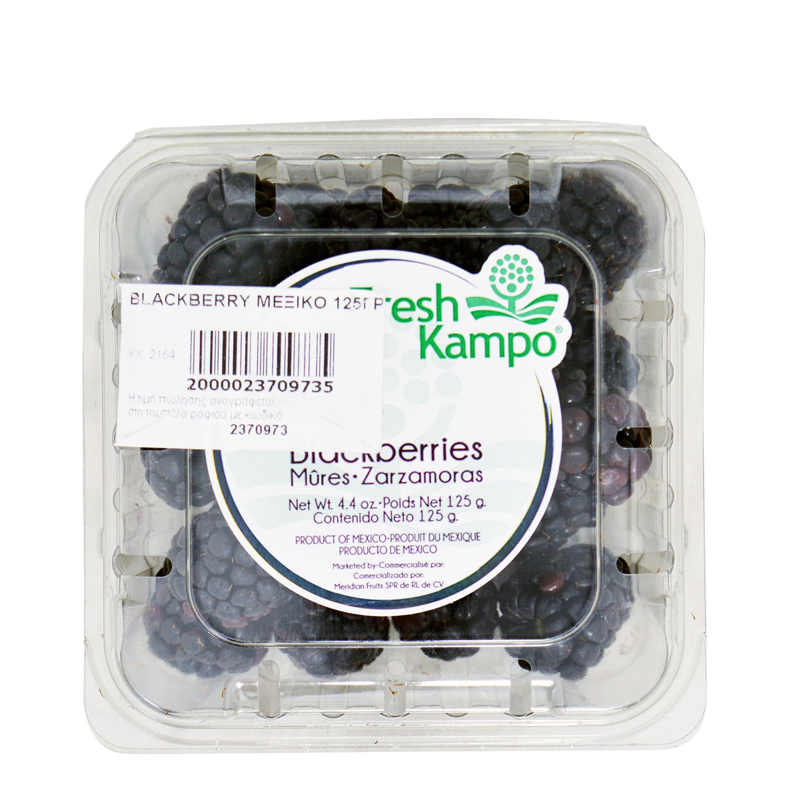 Blackberry τυποποιημένα 125g εικόνα 1