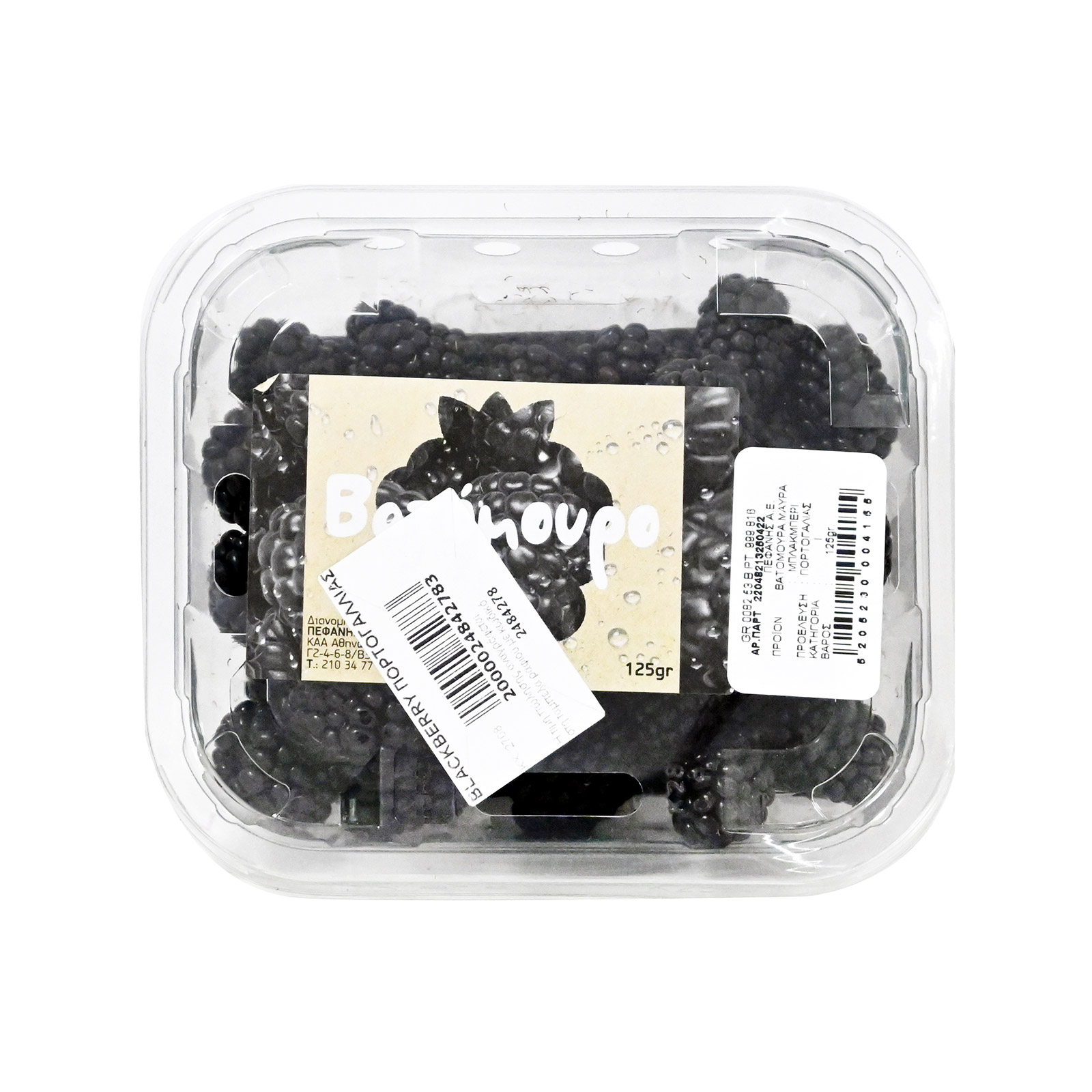 Blackberry τυποποιημένα εικόνα 1