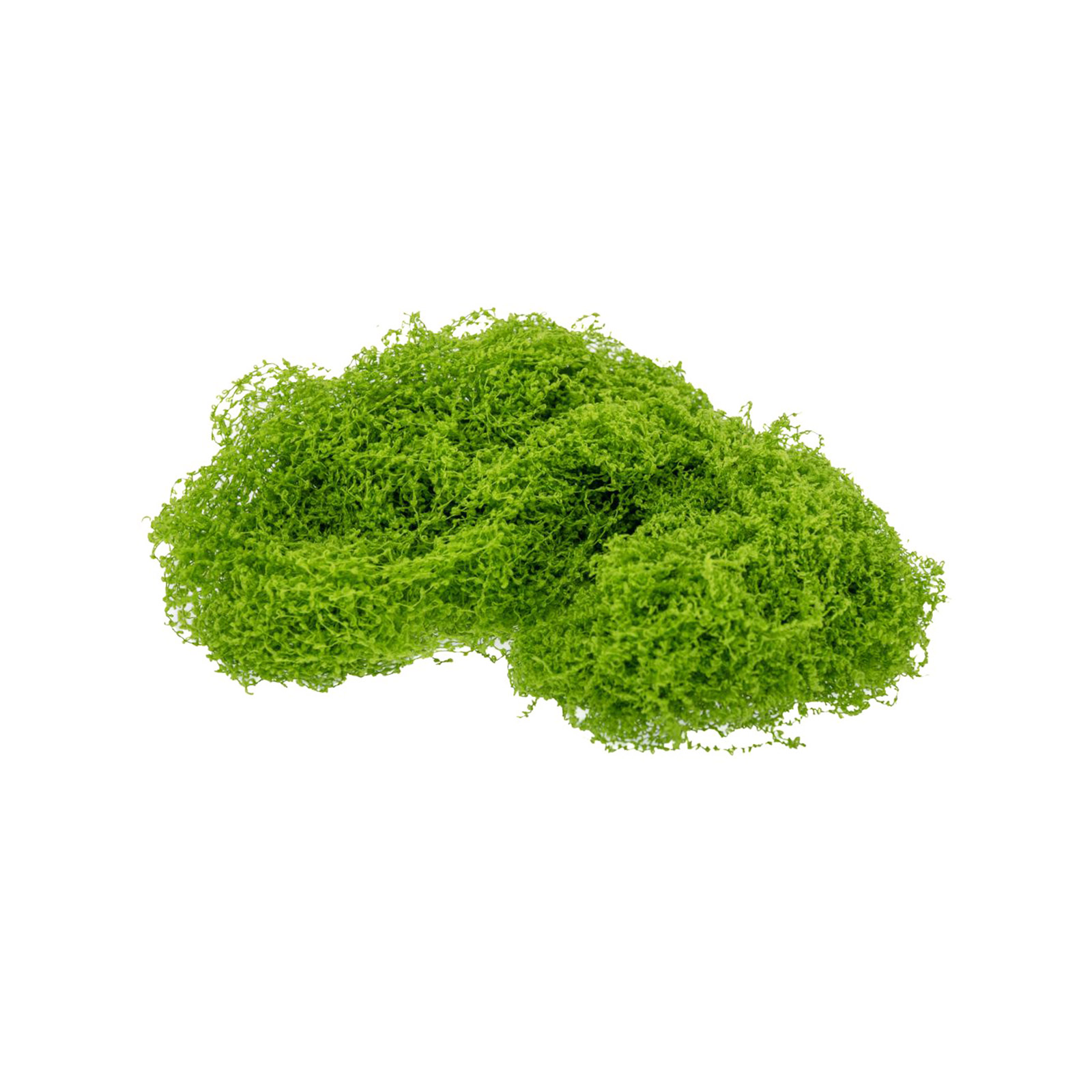 Green moss 89923 home decor image 1