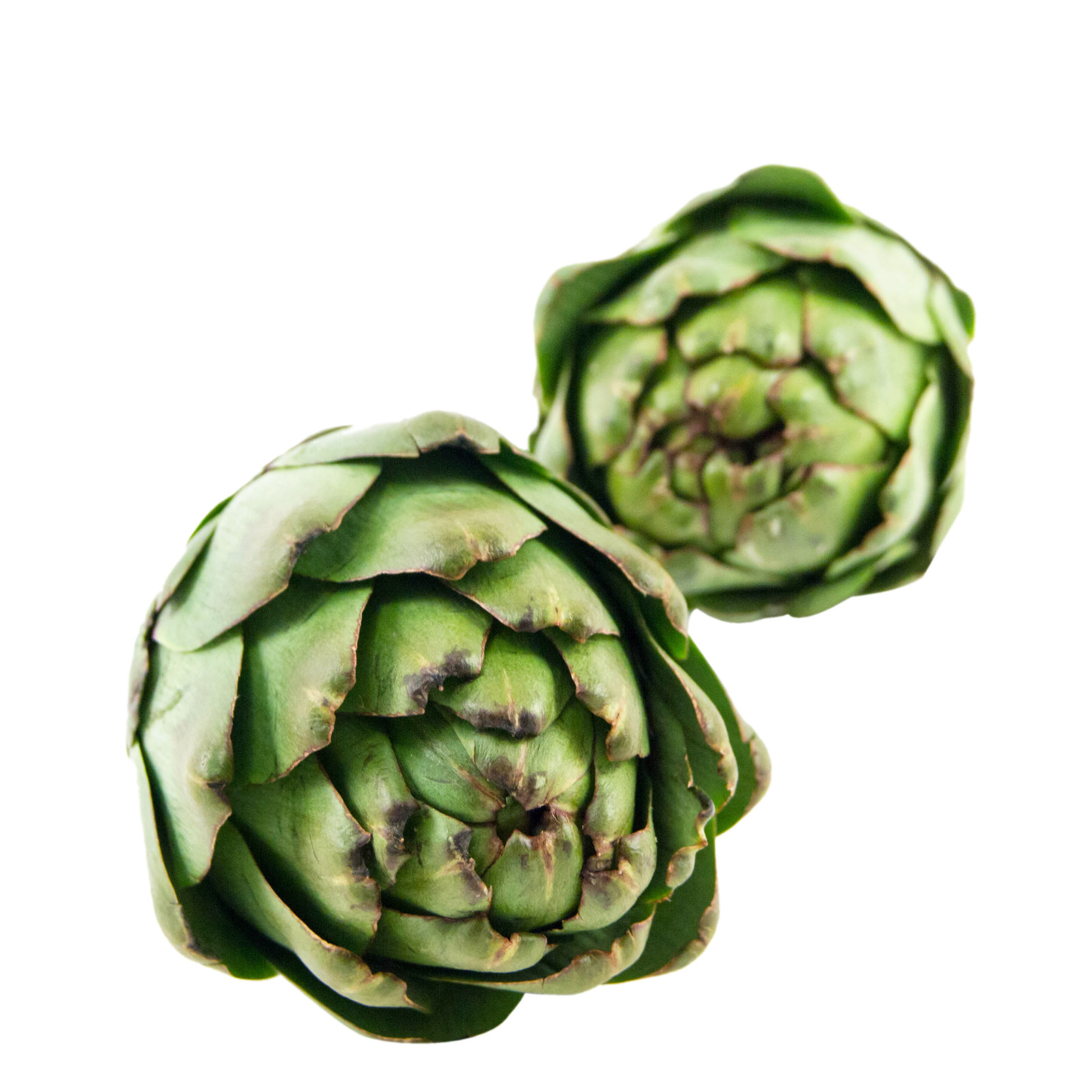 Αγκινάρες Ελλαδος εικόνα 1