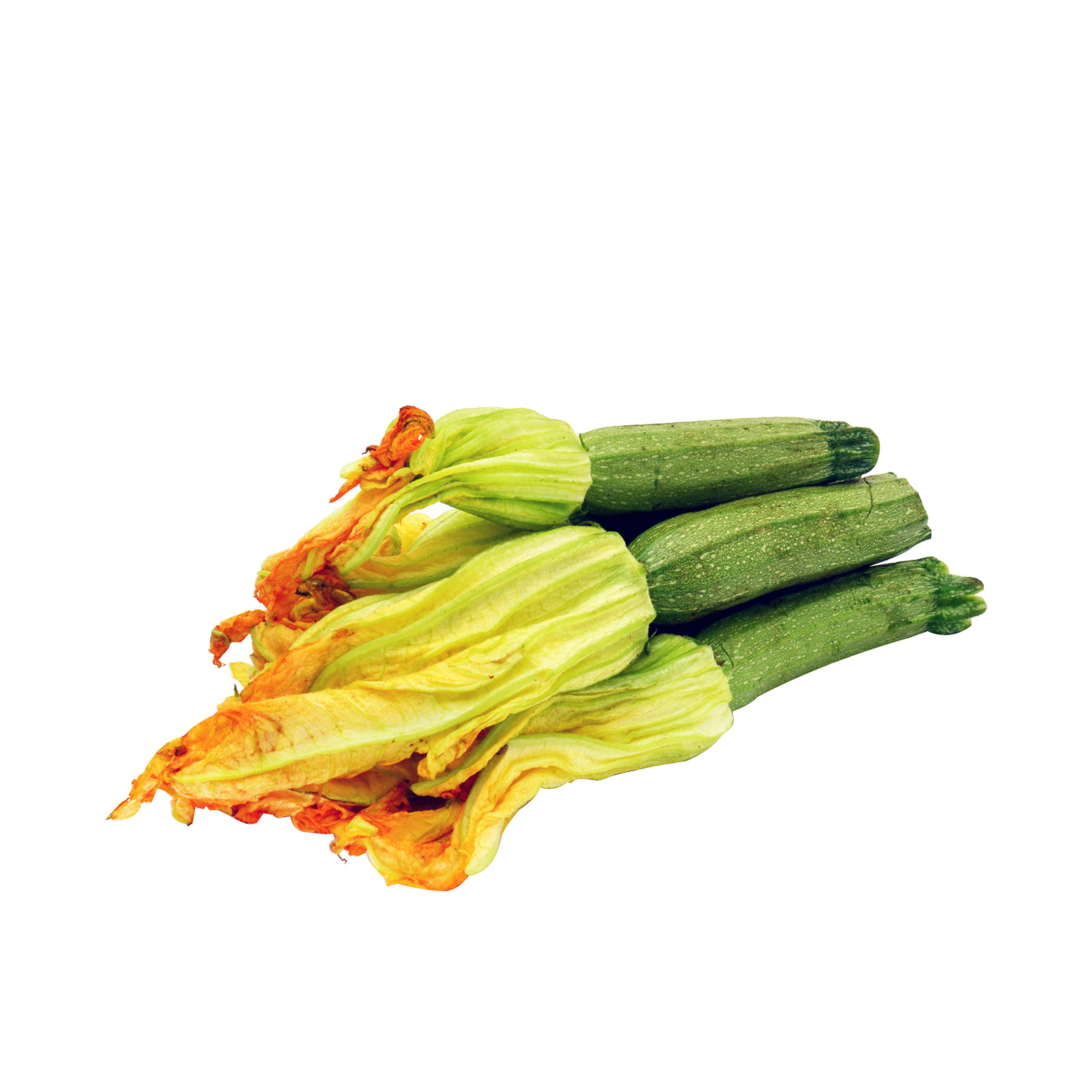 Κολοκυθια με ανθό Ελλαδος εικόνα 1