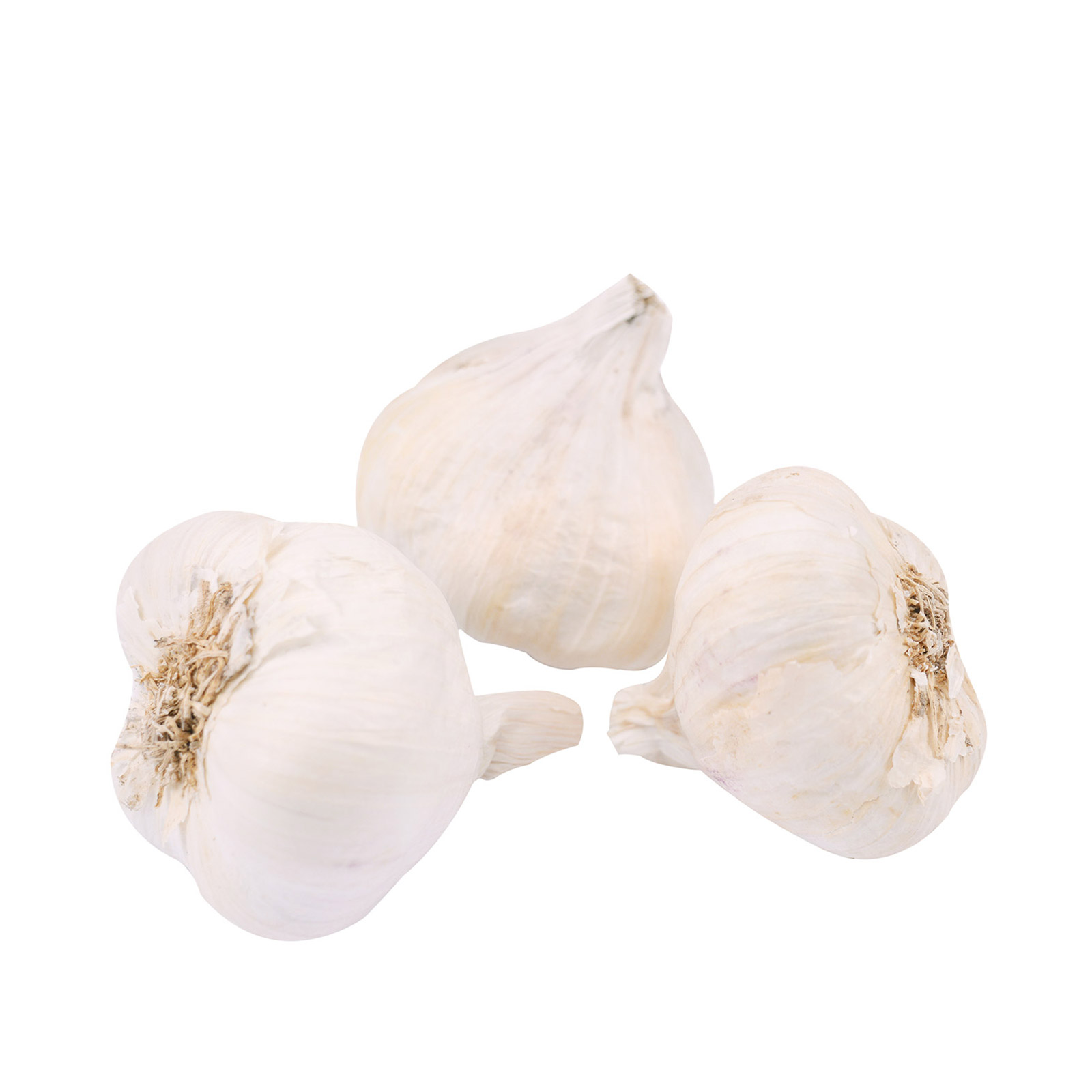 Σκόρδα Ελλάδος εικόνα 1