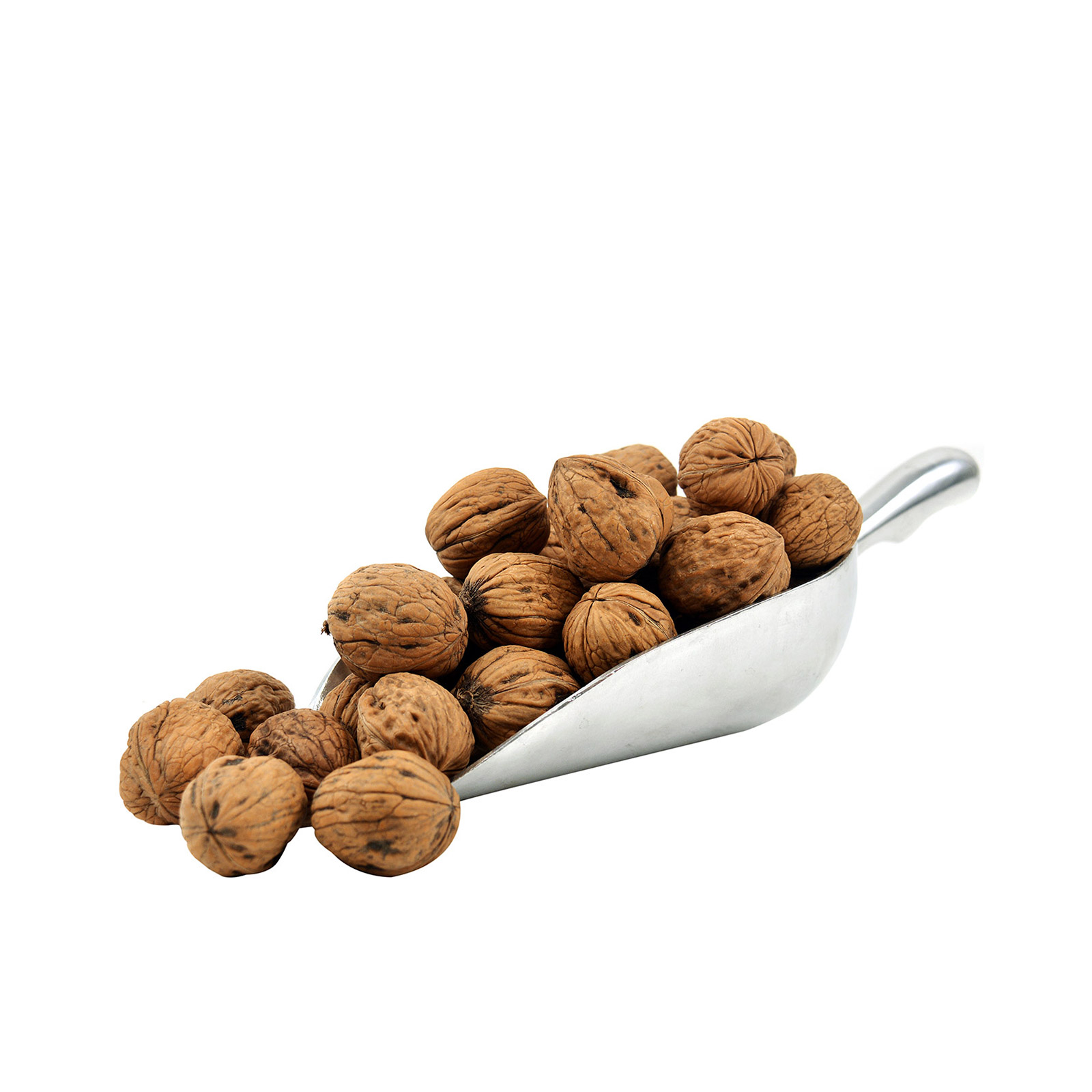 Καρύδια Ελλαδος εικόνα 1