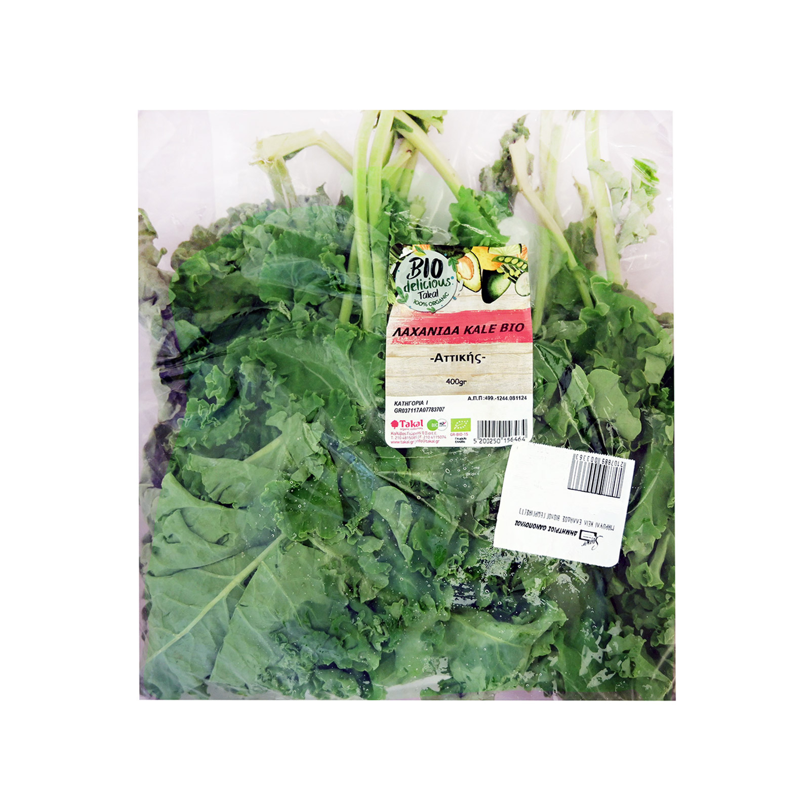 Takal λαχανίδα κέιλ τυποποιημένο εικόνα 1