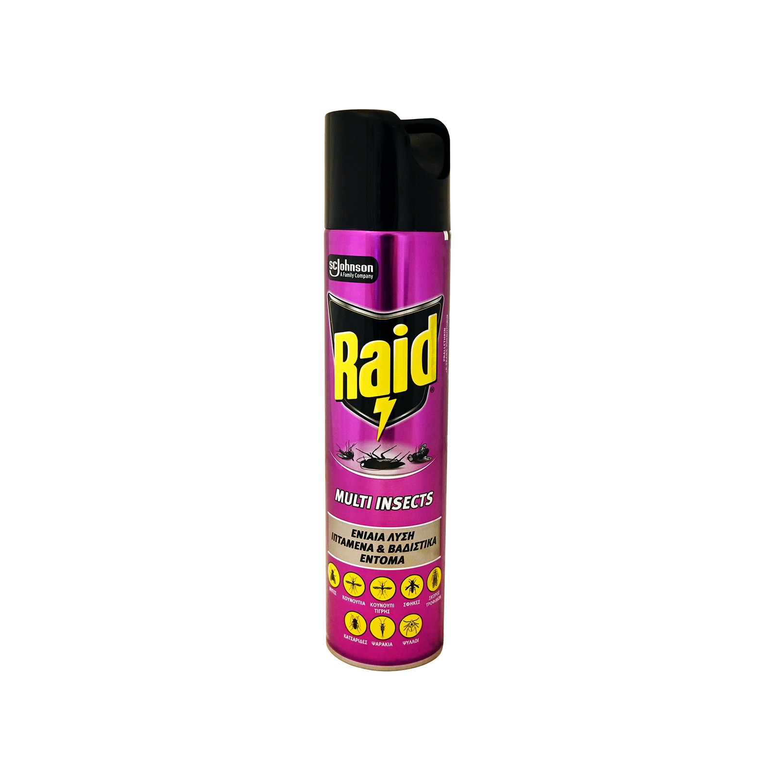 Raid εντομοκτόνο πολλαπλής δράσης 300ml εικόνα 1