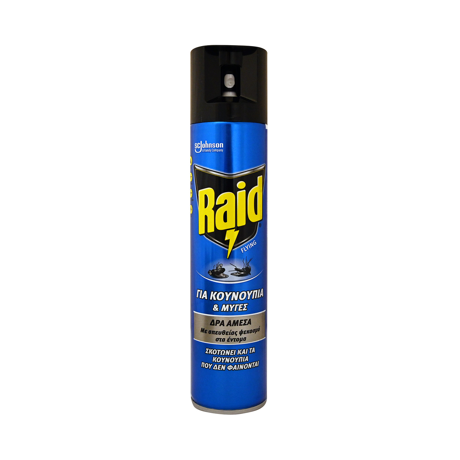 Raid spray εντομοκτόνο 300ml εικόνα 1
