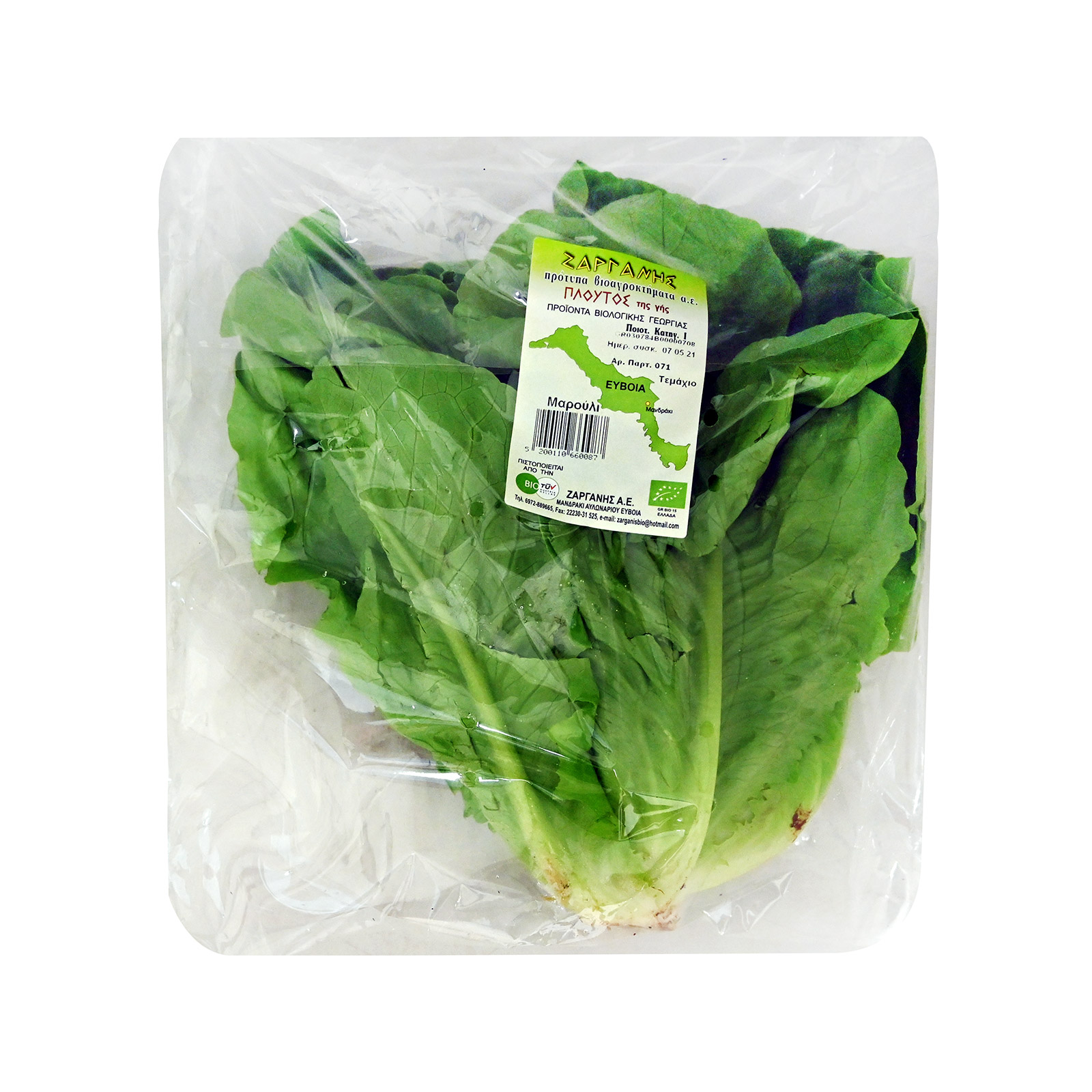 Ζαργάνης μαρούλι τυποποιημένο εικόνα 1