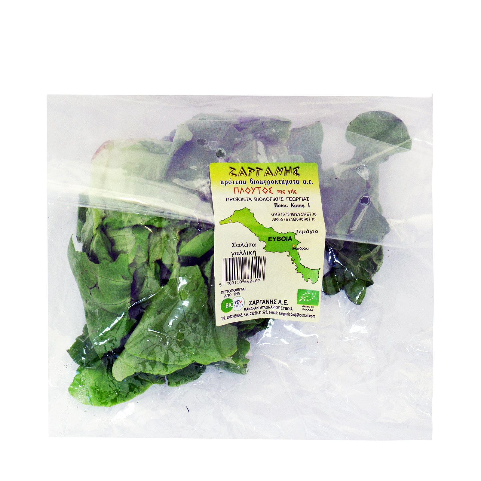 Ζαργάνης σαλάτα γαλλική εικόνα 1