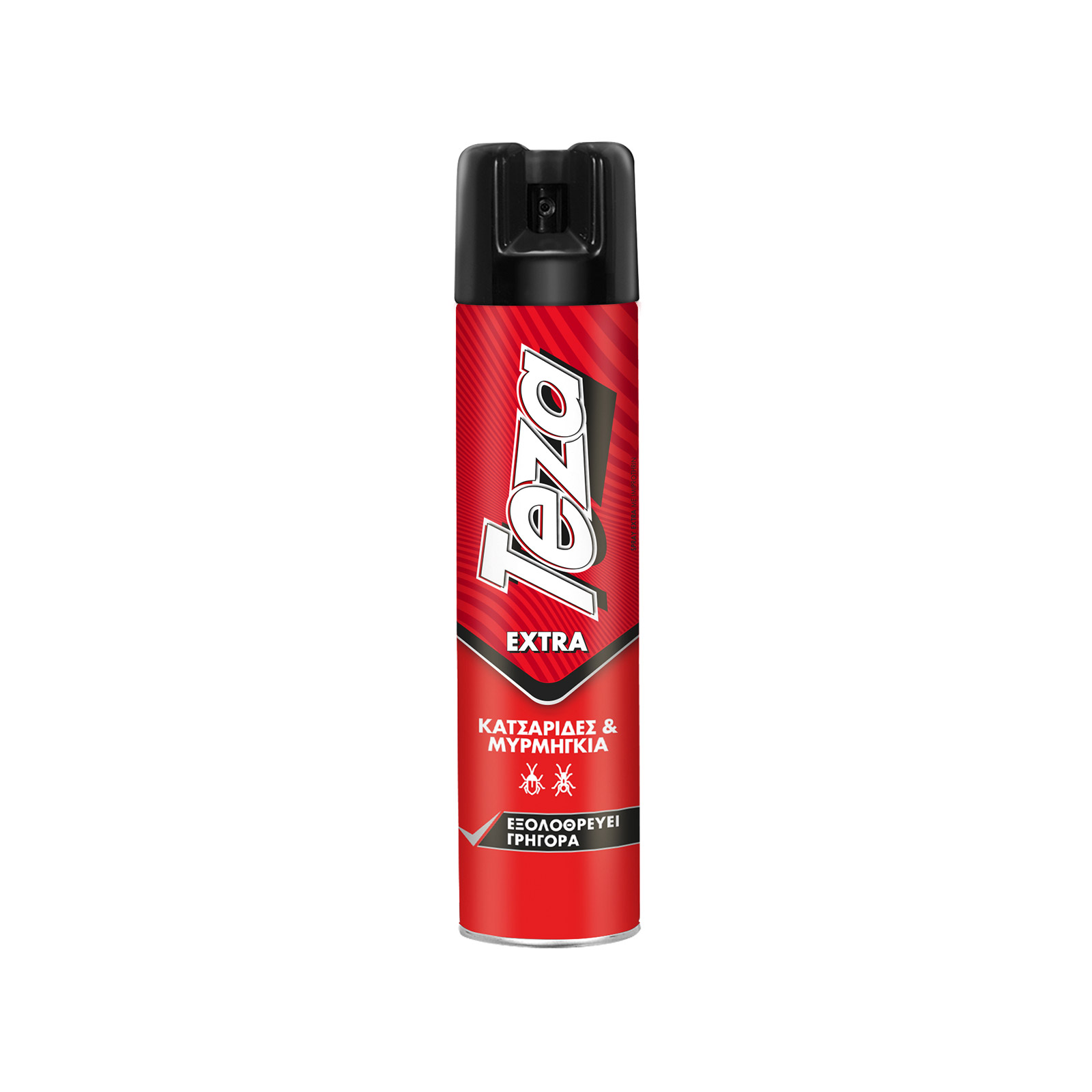 Teza spray αεροζόλ για κατσαρίδες & μυρμήγκια 400ml εικόνα 1