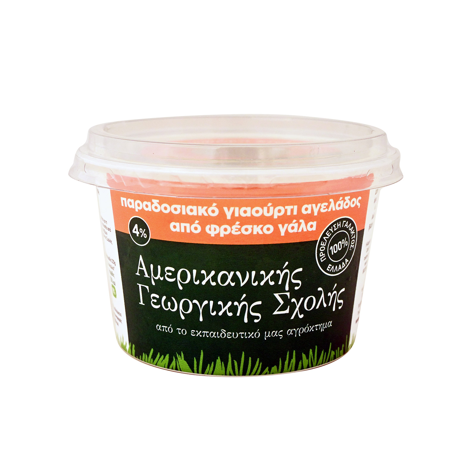 Αμερικάνικη Γεωργική Σχολή γιαούρτι αγελάδος 220g εικόνα 1