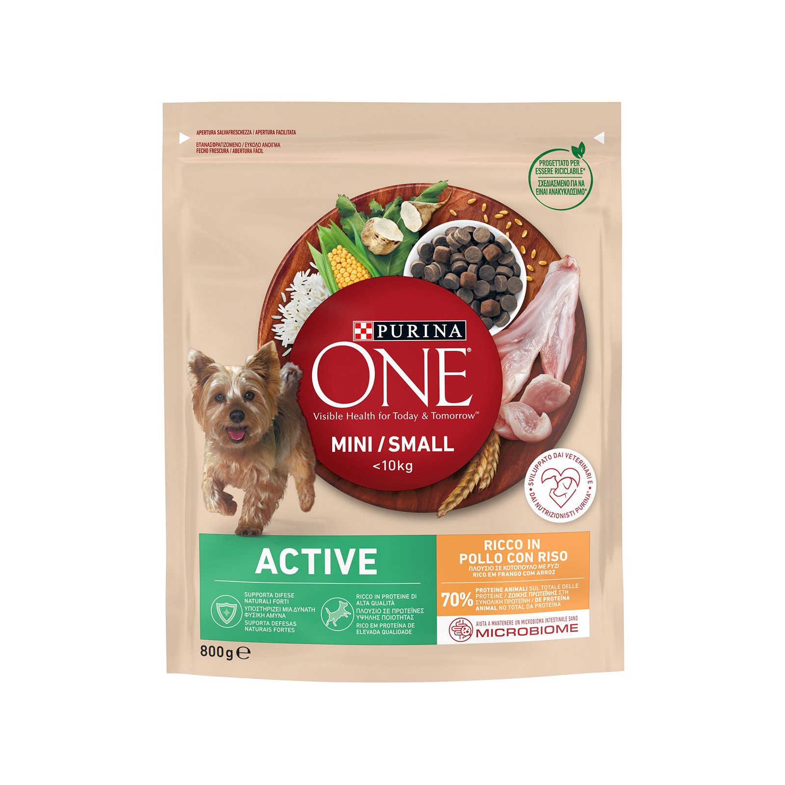 Purina ξηρά τροφή σκύλου κοτόπουλο με ρύζι one - active mini 800g εικόνα 1