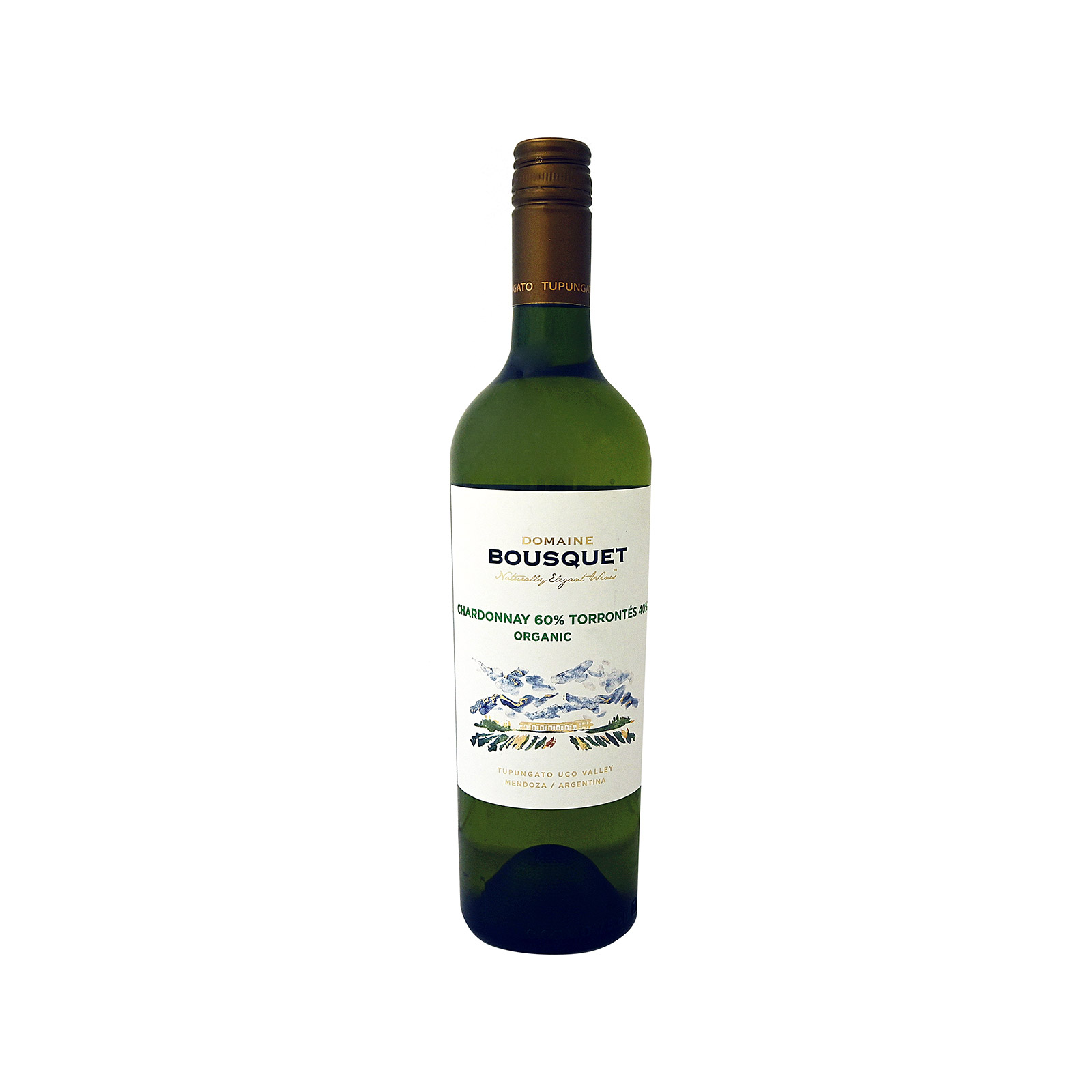 Torrontes Domaine bousquet white wine 750ml image 1