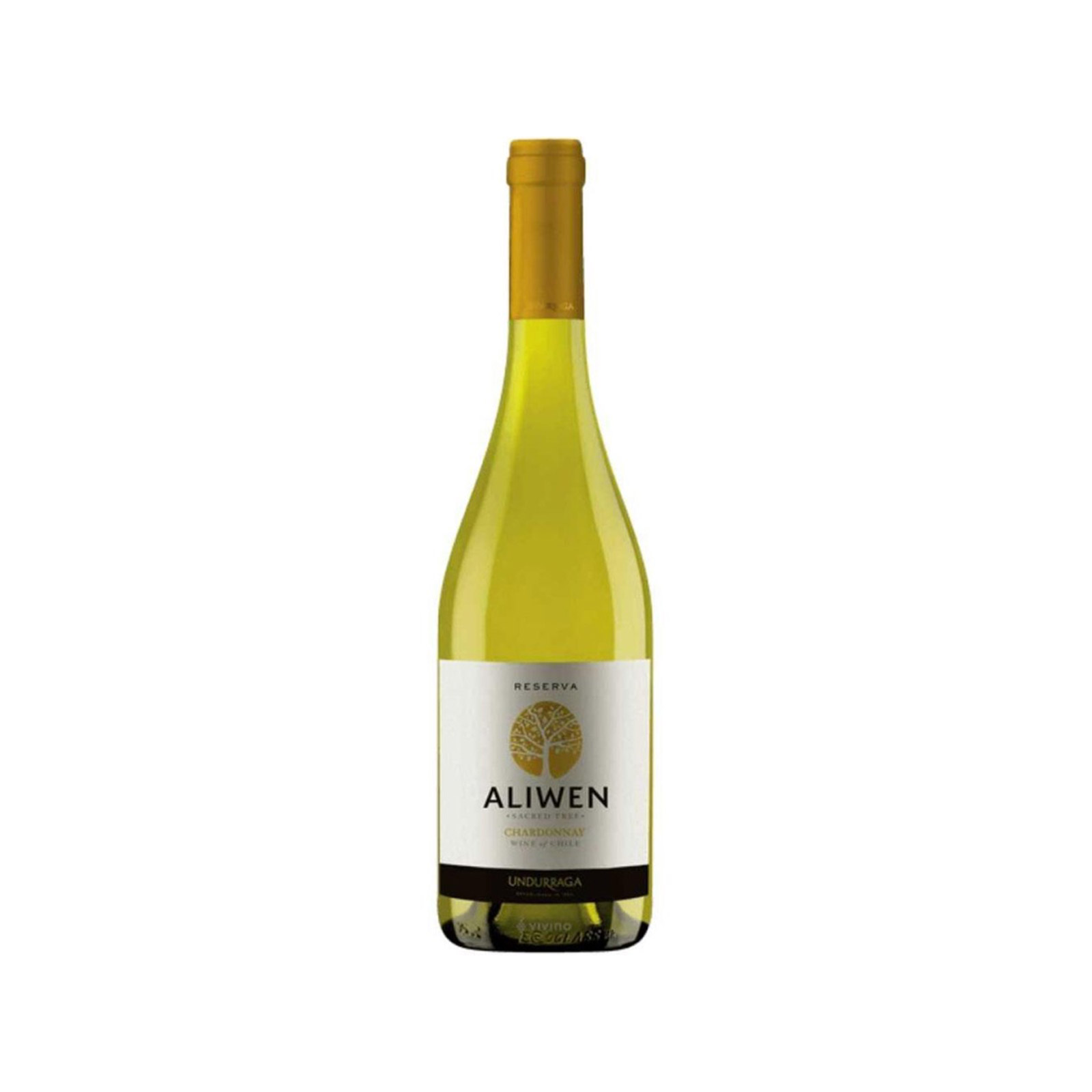 Undurraga Aliwen οίνος λευκός chardonnay 750ml εικόνα 1